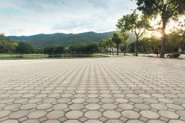 Best Professional Driveway Pavers  in Del Rey Oaks, CA